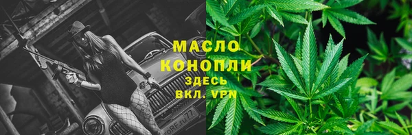 первитин Михайлов