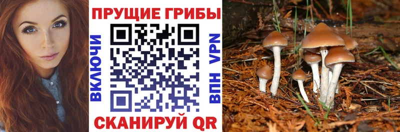 даркнет Telegram  Салехард  Галлюциногенные грибы Cubensis  omg как войти 